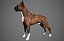 Boxer Real-Time
