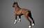 Boxer Real-Time