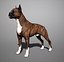 Boxer Real-Time