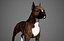 Boxer Real-Time