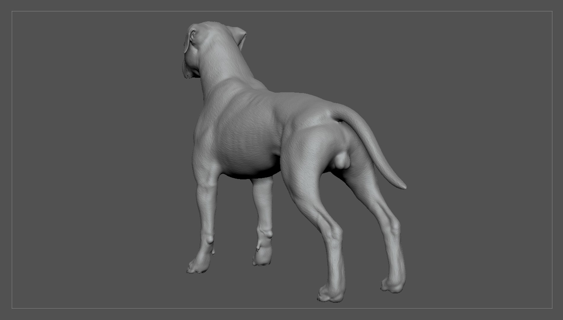 boxer dog real-time real time 3ds https://p.turbosquid.com/ts-thumb/Dn/4nUFhK/lXxvqBkI/boxer_by_alexlashko_zbrush_05/jpg/1468298959/1920x1080/fit_q87/4550a1f806147a3d24c0ed4bd395e662b3acba68/boxer_by_alexlashko_zbrush_05.jpg