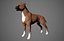 Boxer Real-Time