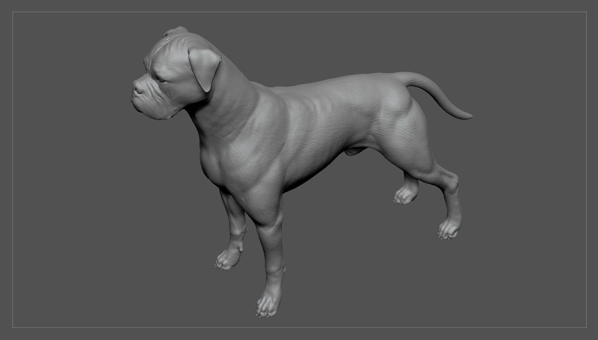boxer dog real-time real time 3ds https://p.turbosquid.com/ts-thumb/Dn/4nUFhK/yHymUNIZ/boxer_by_alexlashko_zbrush_03/jpg/1468298959/1920x1080/fit_q87/0646a1db5d324ede806da13ba306947b34e6b573/boxer_by_alexlashko_zbrush_03.jpg