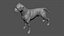 Boxer Real-Time