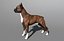 Boxer Real-Time