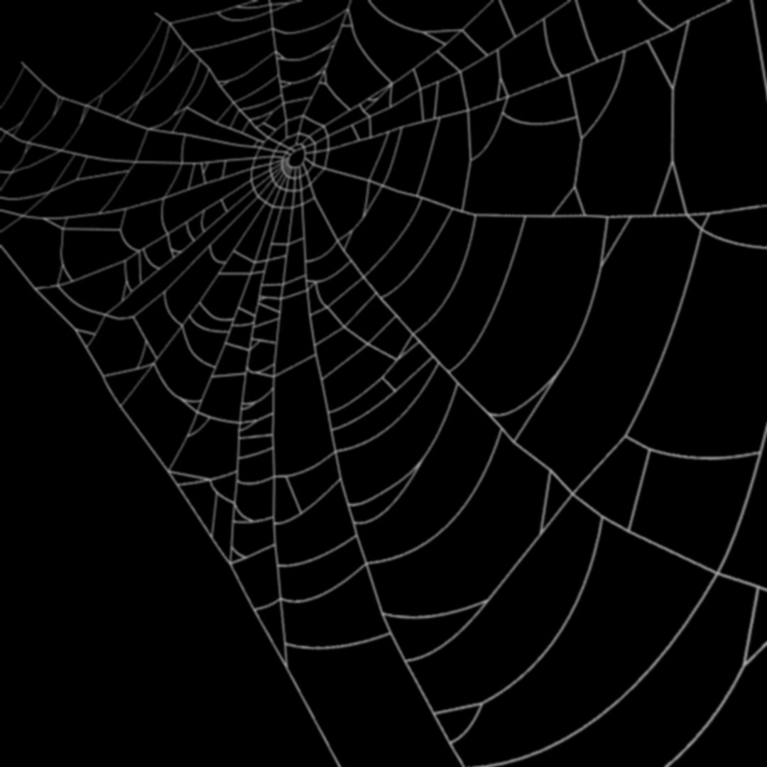 Spider Web 3D - TurboSquid 1284311