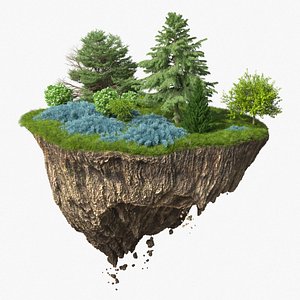 3D Levitating Forest Rock