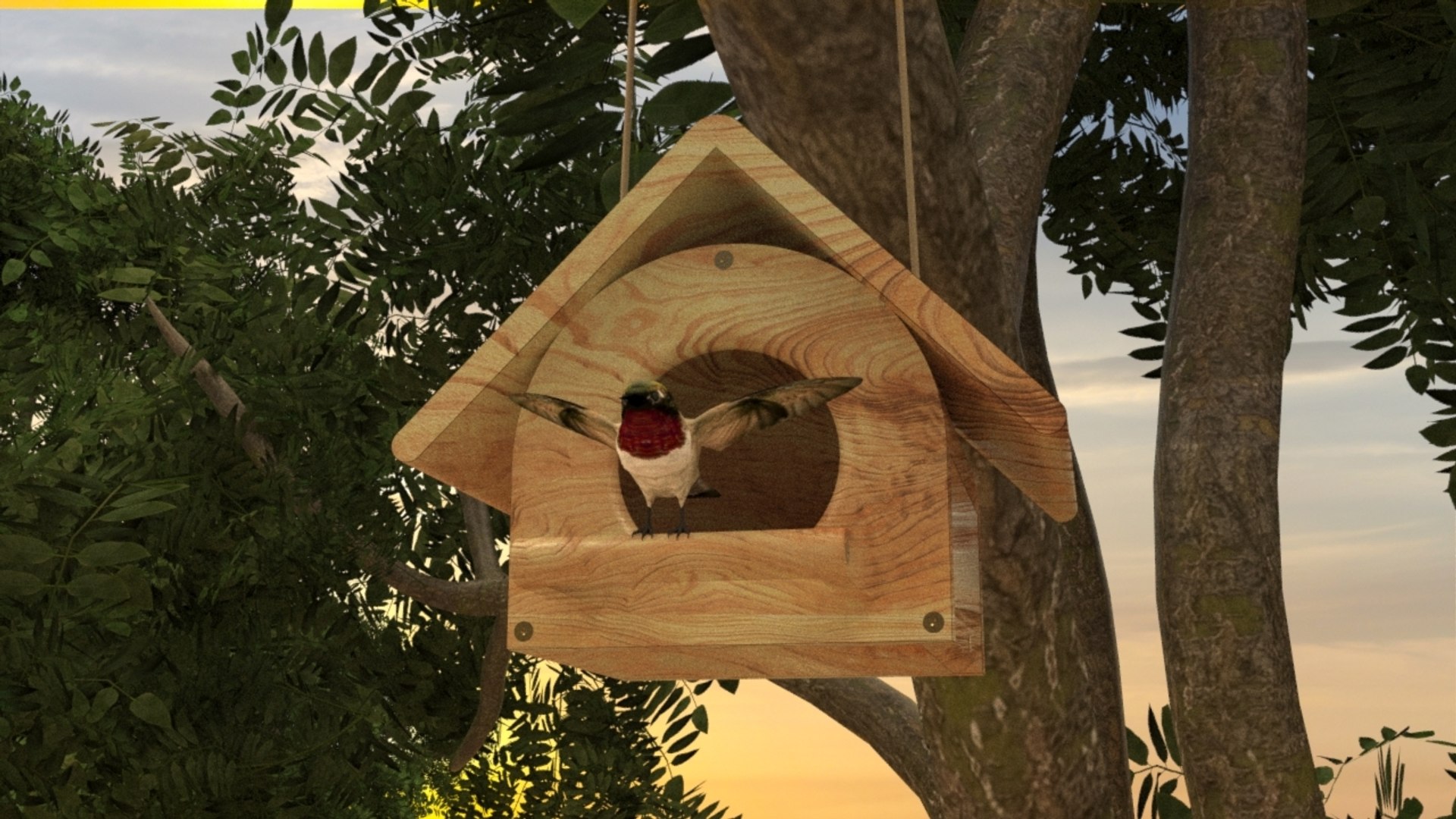 Bird Box 3D Model - TurboSquid 1488898