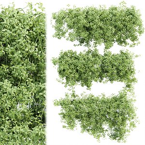 3D Hanging wall creeper plants collection vol 190