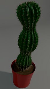 cactus pot 3D model