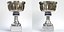 Small trophy cup 1
