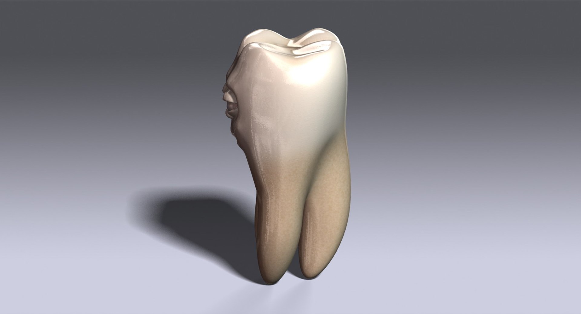 3d Model Tooth Cartoon Character