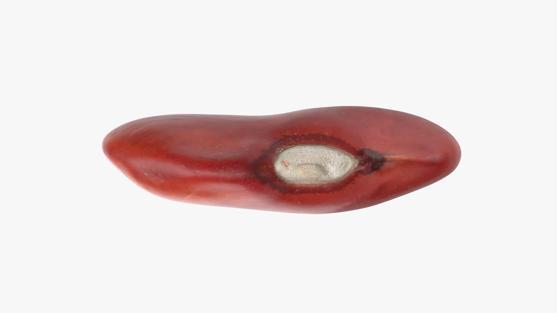 Red Bean Flat Collection model https://p.turbosquid.com/ts-thumb/Dn/kJH6CR/Ds/redbeanflat01_0003/png/1777029294/1920x1080/fit_q87/91d0f13064ce6c739f38d22ccb06b5593782b177/redbeanflat01_0003.jpg