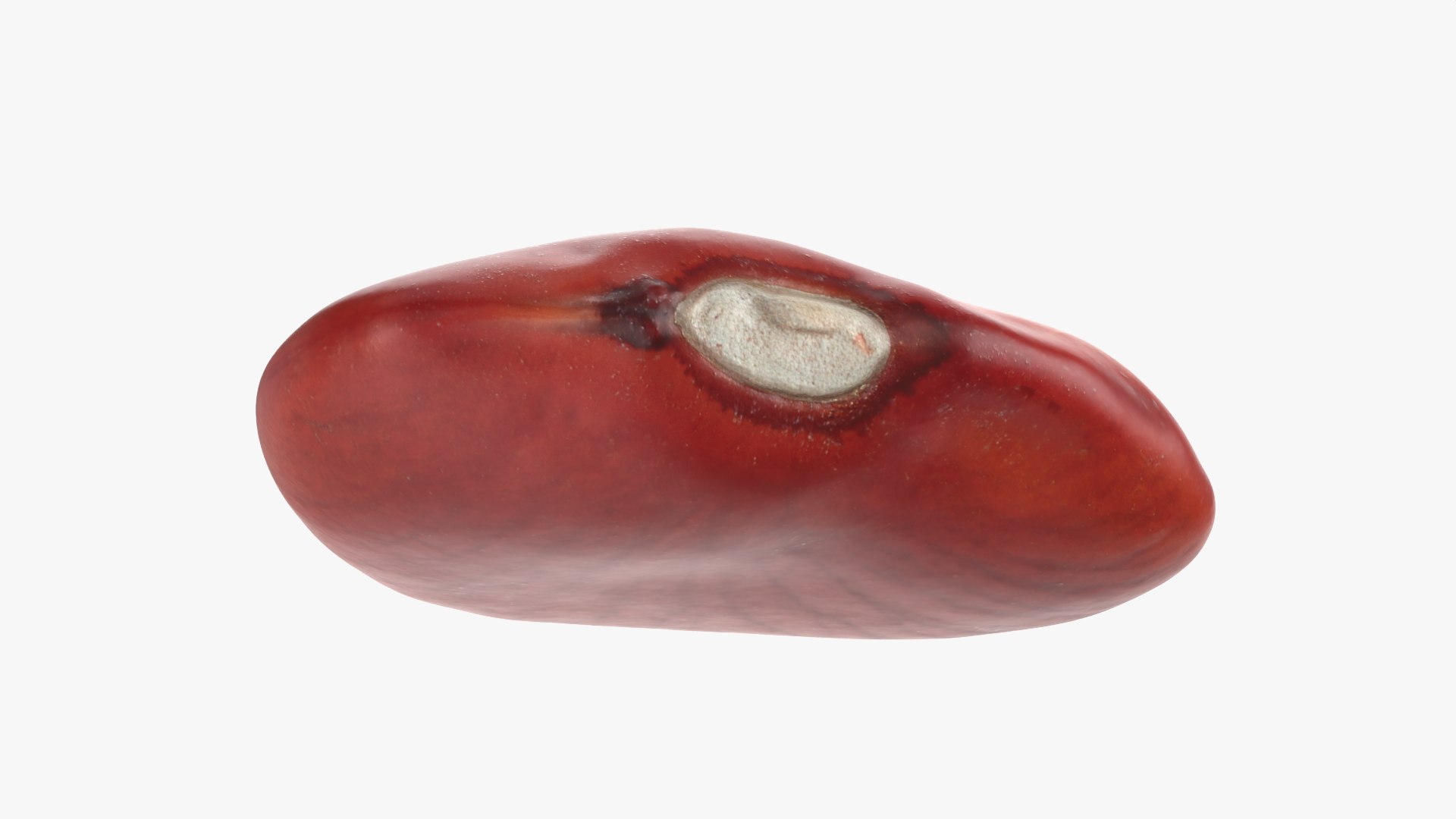 Red Bean Flat Collection model https://p.turbosquid.com/ts-thumb/Dn/kJH6CR/Jm/redbeanflat01_0009/png/1777029299/1920x1080/fit_q87/b94d0910fe0f3eb5173634a94f3a7c4bdd54fbbe/redbeanflat01_0009.jpg