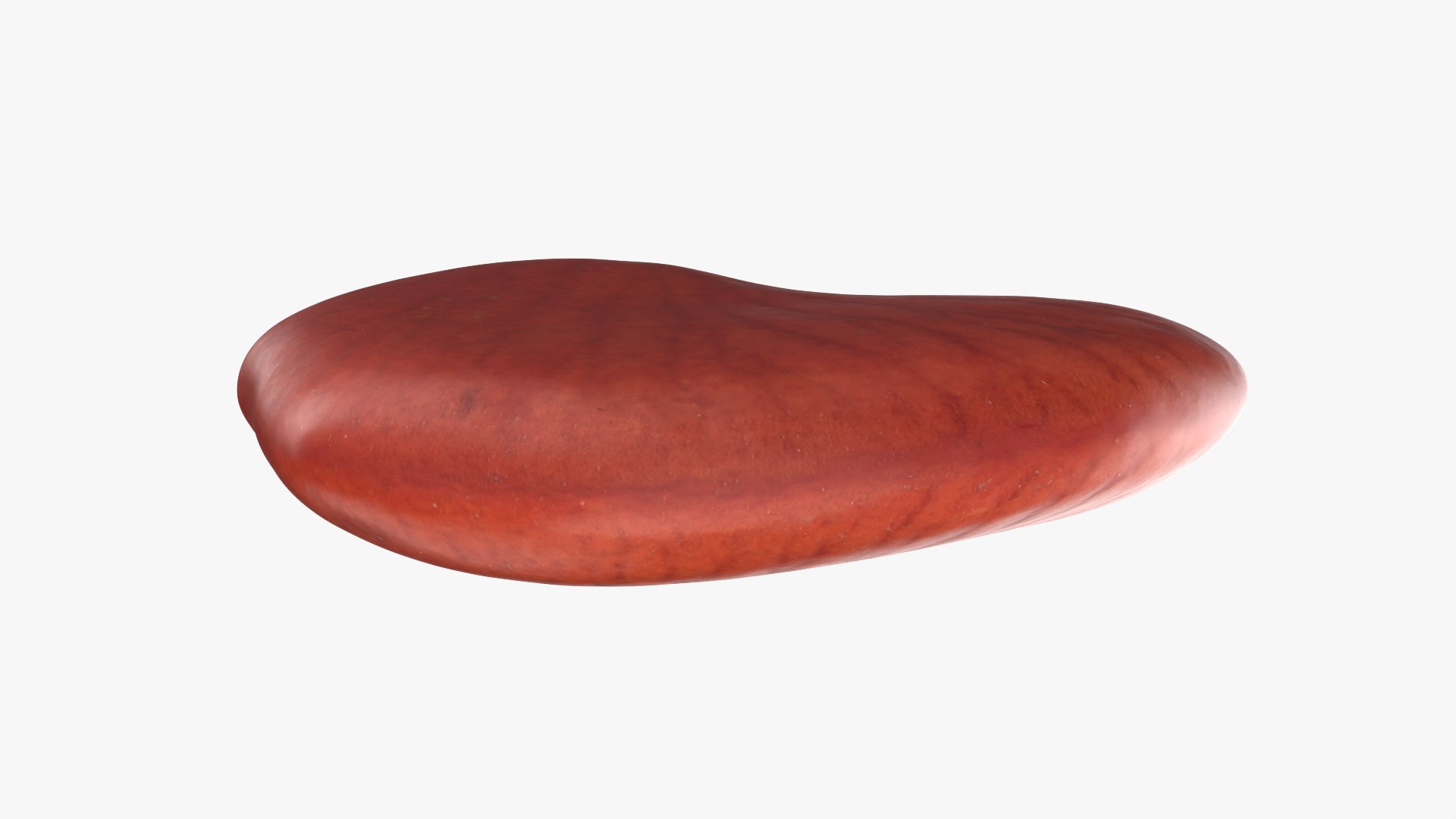 Red Bean Flat Collection model https://p.turbosquid.com/ts-thumb/Dn/kJH6CR/SA/redbeanflat01_0004/png/1777029295/1920x1080/fit_q87/2e109a4e010f0669bfc5d2ed939ede9942e2ba55/redbeanflat01_0004.jpg