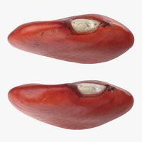 Red Bean Flat Collection