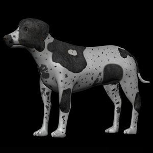 Fully rigged low poly German shorthair black Pointer Dog