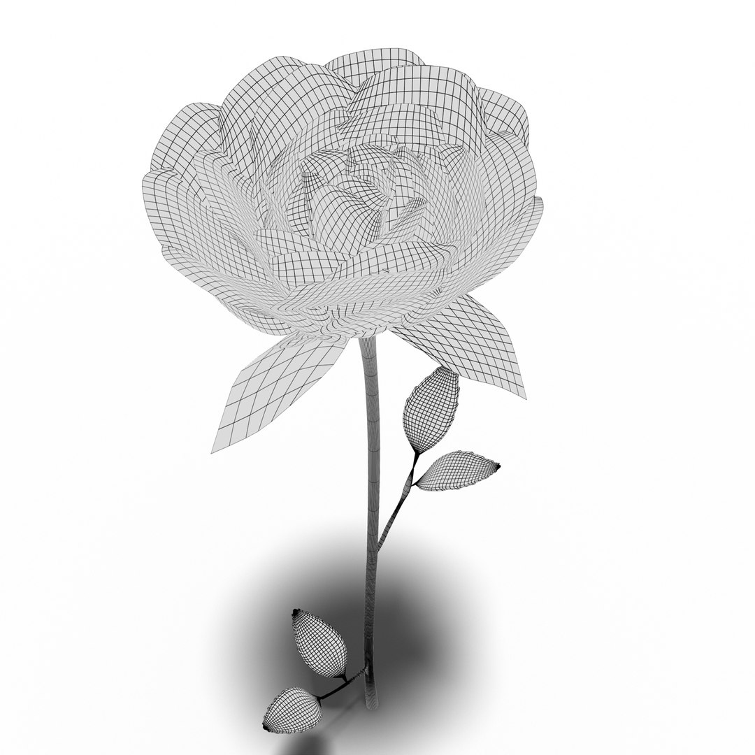 Red Rose Flower 3D Model - TurboSquid 2083197