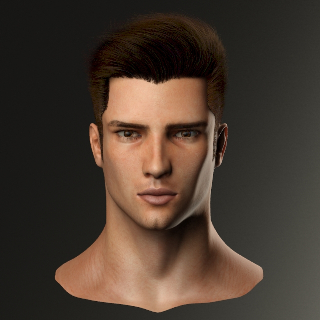 3d male head model