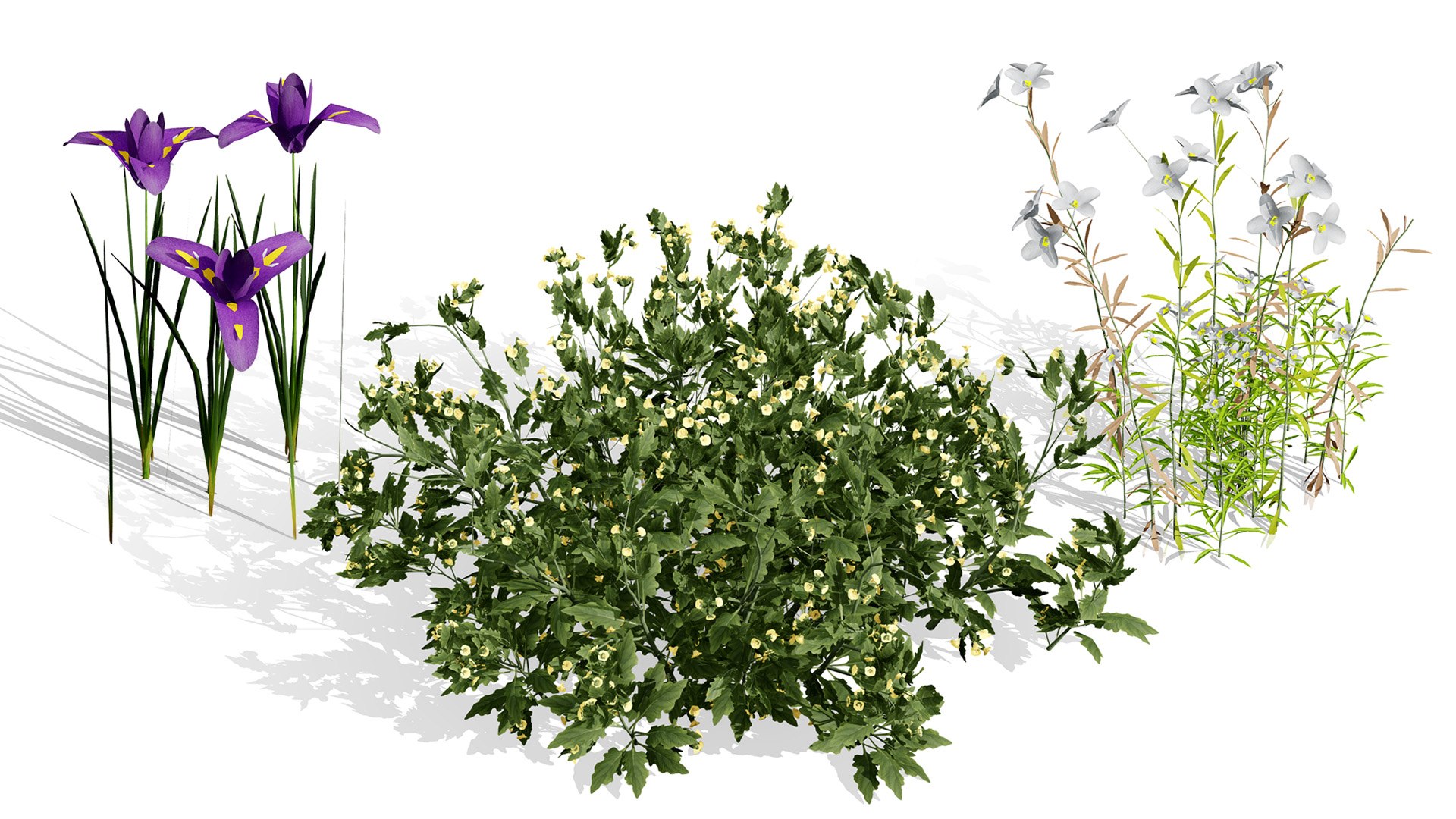 3D Middle Eastern Vegetation Pack 3D Model https://p.turbosquid.com/ts-thumb/Do/8IH4Wv/IB/00artcoverarabianheliotropiumarbainenseramramplant/jpg/1769192128/1920x1080/fit_q87/14723a764d4b4718c227c10085a92a7a83e80125/00artcoverarabianheliotropiumarbainenseramramplant.jpg