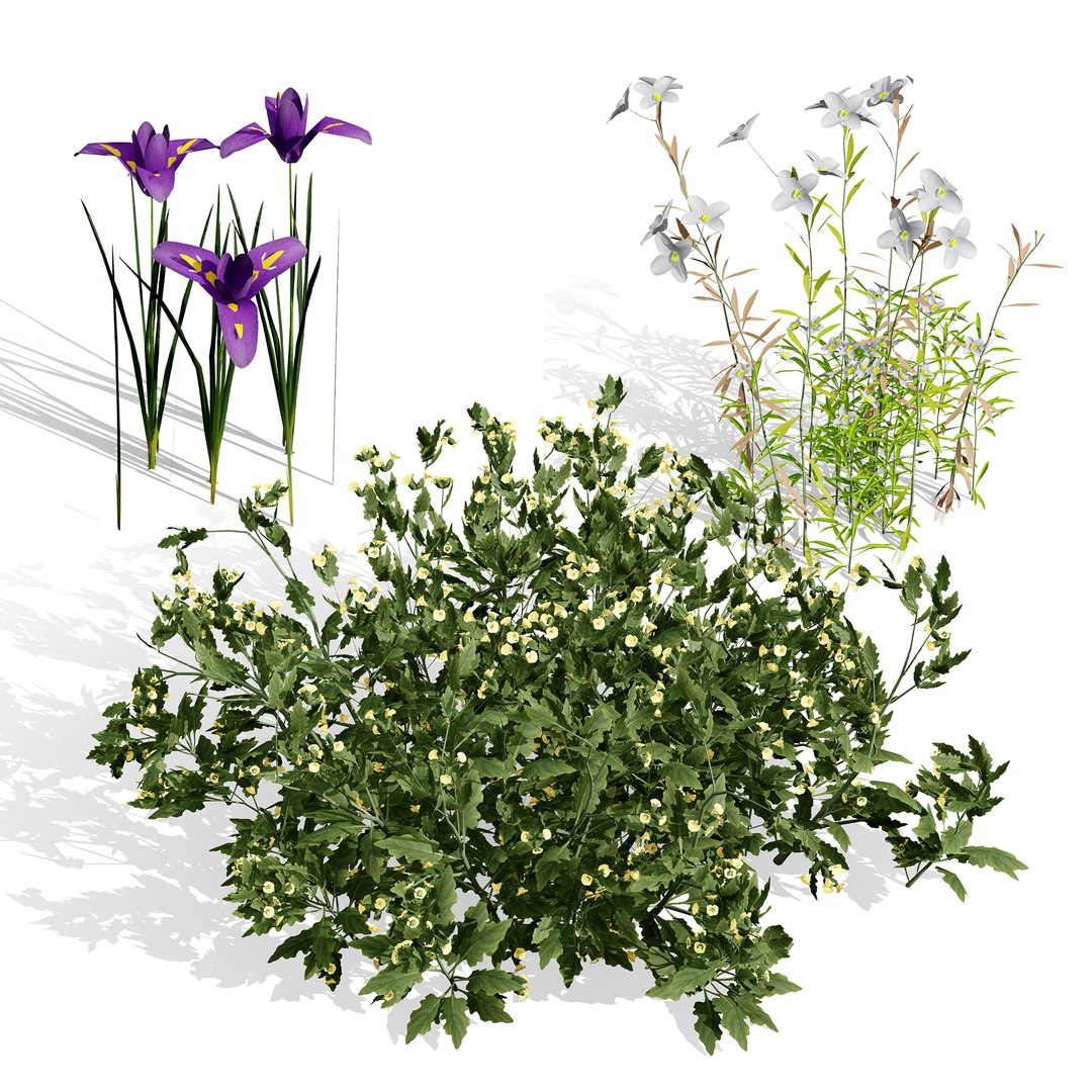 3D Middle Eastern Vegetation Pack 3D Model https://p.turbosquid.com/ts-thumb/Do/8IH4Wv/T2/000arabianheliotropiumarbainenseramramplant/jpg/1769192128/1920x1080/fit_q87/ae29ecc4c0d3bfca20313c9cb3da0b3706c31d94/000arabianheliotropiumarbainenseramramplant.jpg