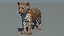 Modello 3D del cucciolo di leopardo