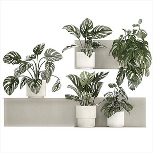 Wall Shelf With Monstera In Pots Vertical Garden 1259 3D model