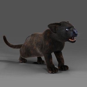 Fur Baby Black Panther Rigged and Animated in Unity model
