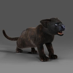 Fur Baby Black Panther Rigged and Animated in Unity