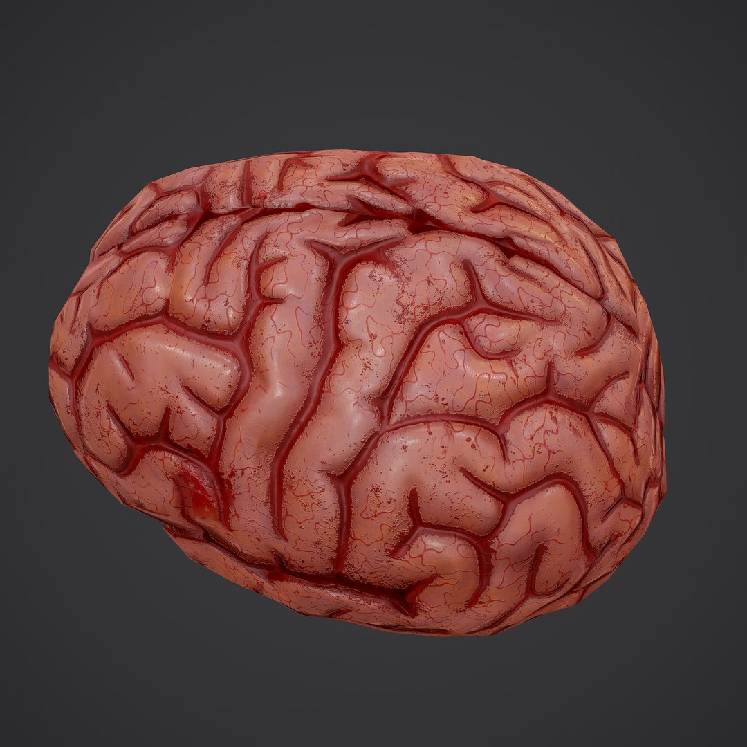 3D human brain https://p.turbosquid.com/ts-thumb/Do/cdiTMB/2QN0X8HK/7/png/1600583713/1920x1080/fit_q87/924546e06ca8ae0d1f0adb8db15121a55c5fb206/7.jpg