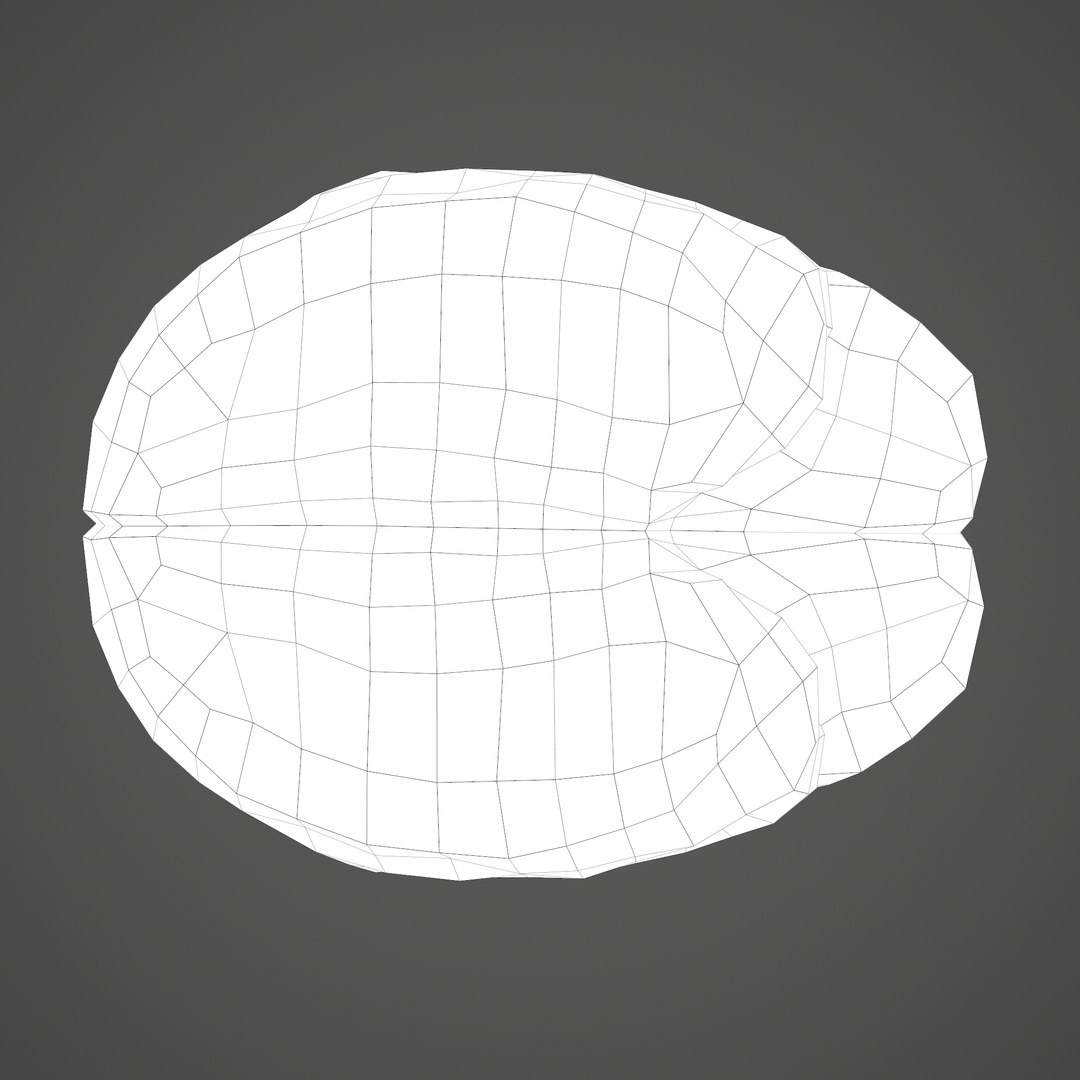 3D human brain https://p.turbosquid.com/ts-thumb/Do/cdiTMB/6wZUI8fH/g/png/1600583714/1920x1080/fit_q87/0492455d144e567dce8b6d326cbc6973ecb81cb2/g.jpg