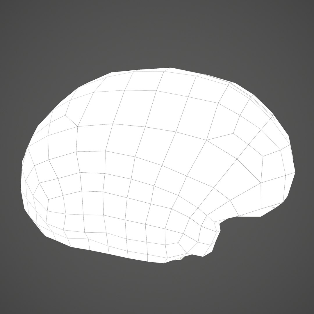 3D human brain https://p.turbosquid.com/ts-thumb/Do/cdiTMB/9EakBv7R/e/png/1600583713/1920x1080/fit_q87/f39a05202c1fa484c1dd1a76cefaefca86eadc8e/e.jpg