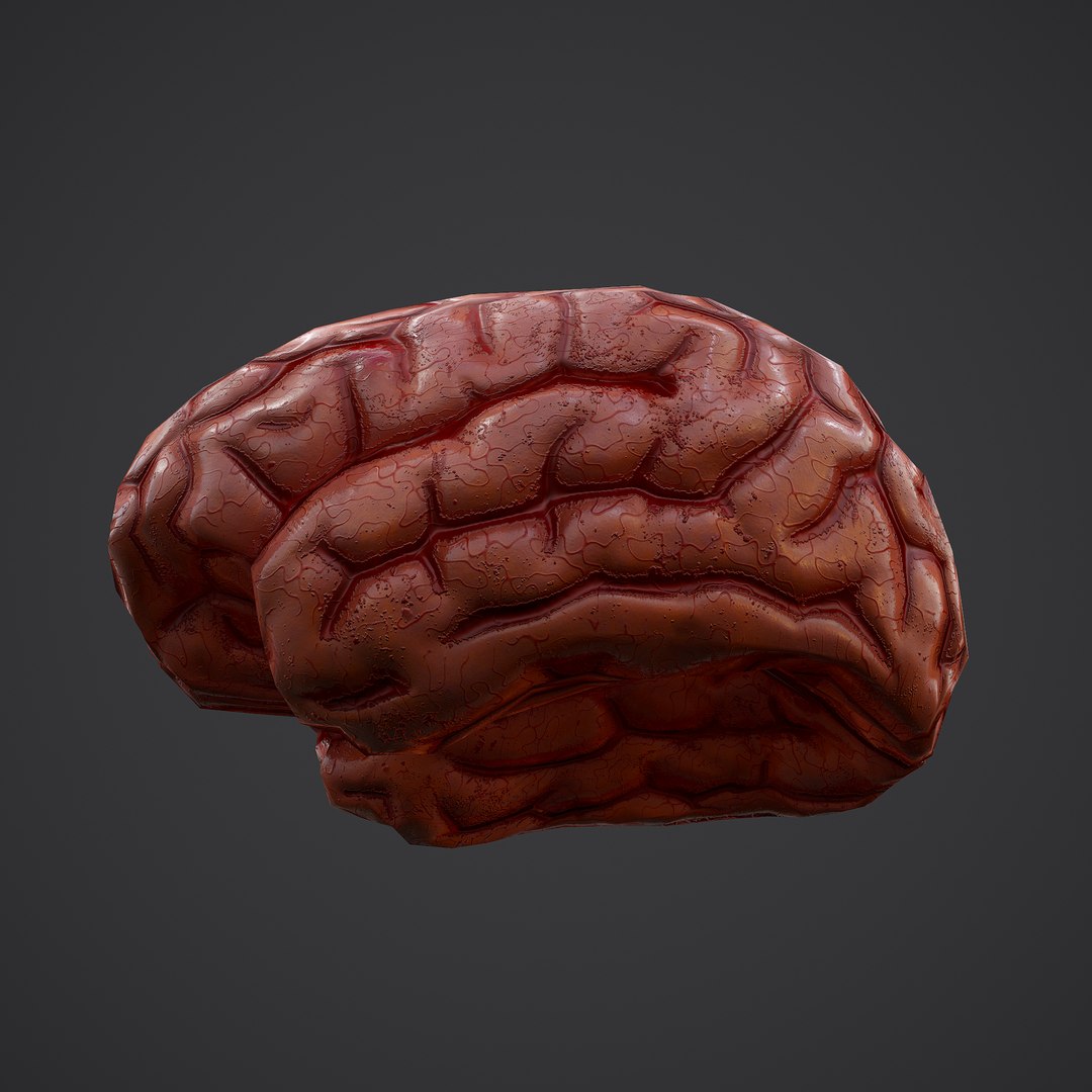 3D human brain https://p.turbosquid.com/ts-thumb/Do/cdiTMB/Es6c6xA8/10/png/1600583713/1920x1080/fit_q87/99207fc3d67f62c4076953b8ccd17c8f8ee2f2ed/10.jpg