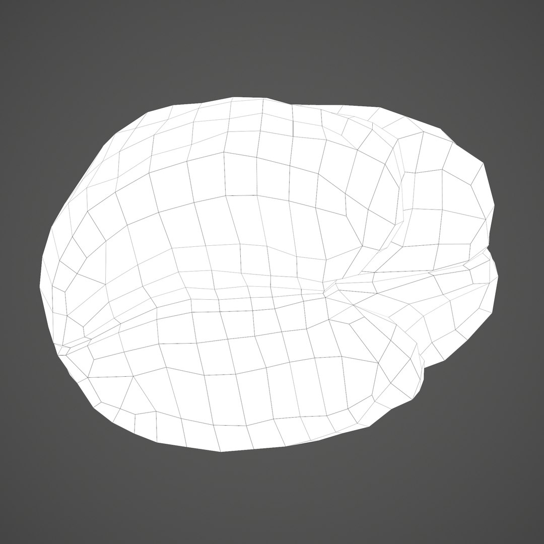 3D human brain https://p.turbosquid.com/ts-thumb/Do/cdiTMB/IPpz8JCK/f/png/1600583714/1920x1080/fit_q87/541028b0ed76e983e3ba8f480fa86d699d1dd189/f.jpg