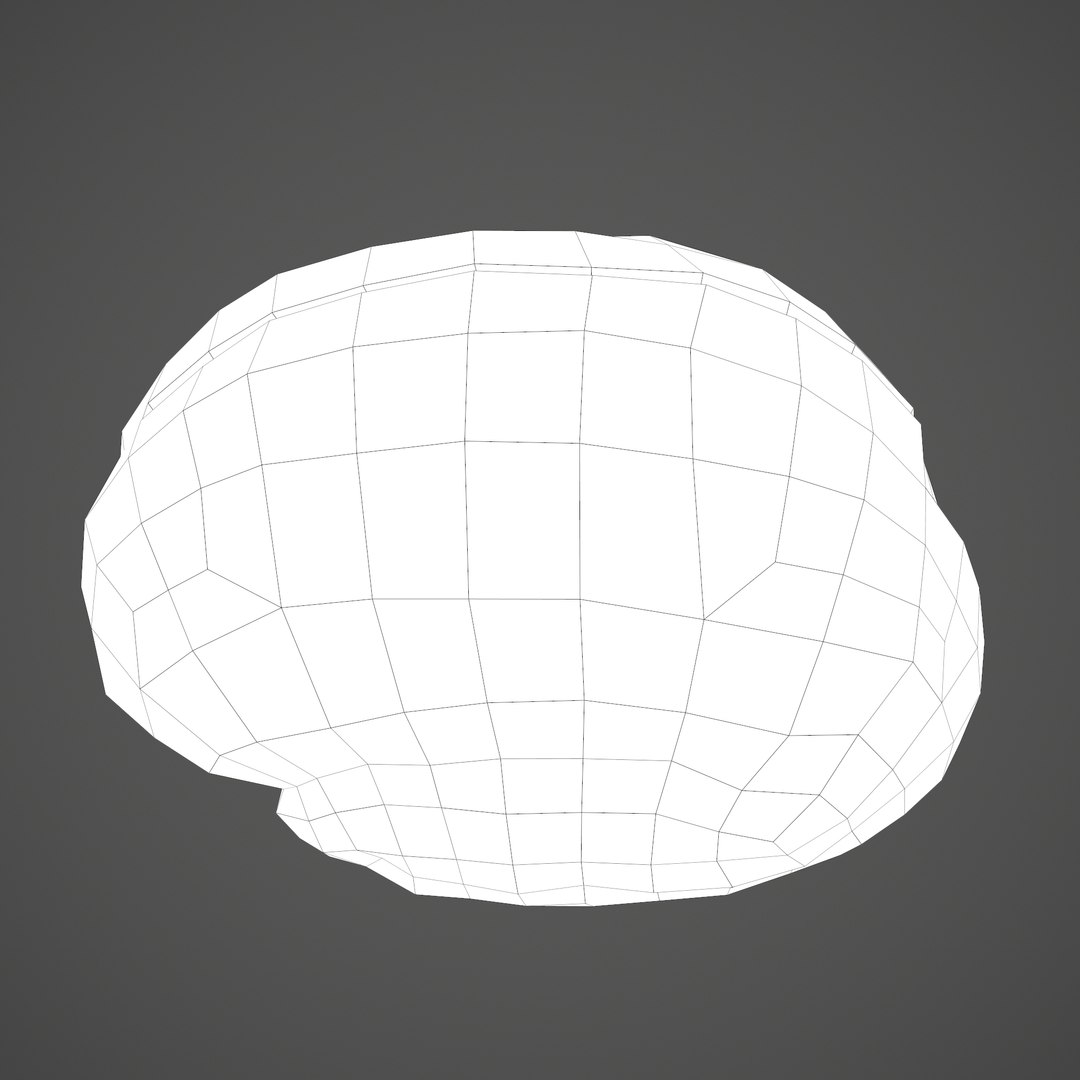 3D human brain https://p.turbosquid.com/ts-thumb/Do/cdiTMB/KjLavRa6/l/png/1600583714/1920x1080/fit_q87/50a5e8196554c779a5a1137b77853428e394d53d/l.jpg