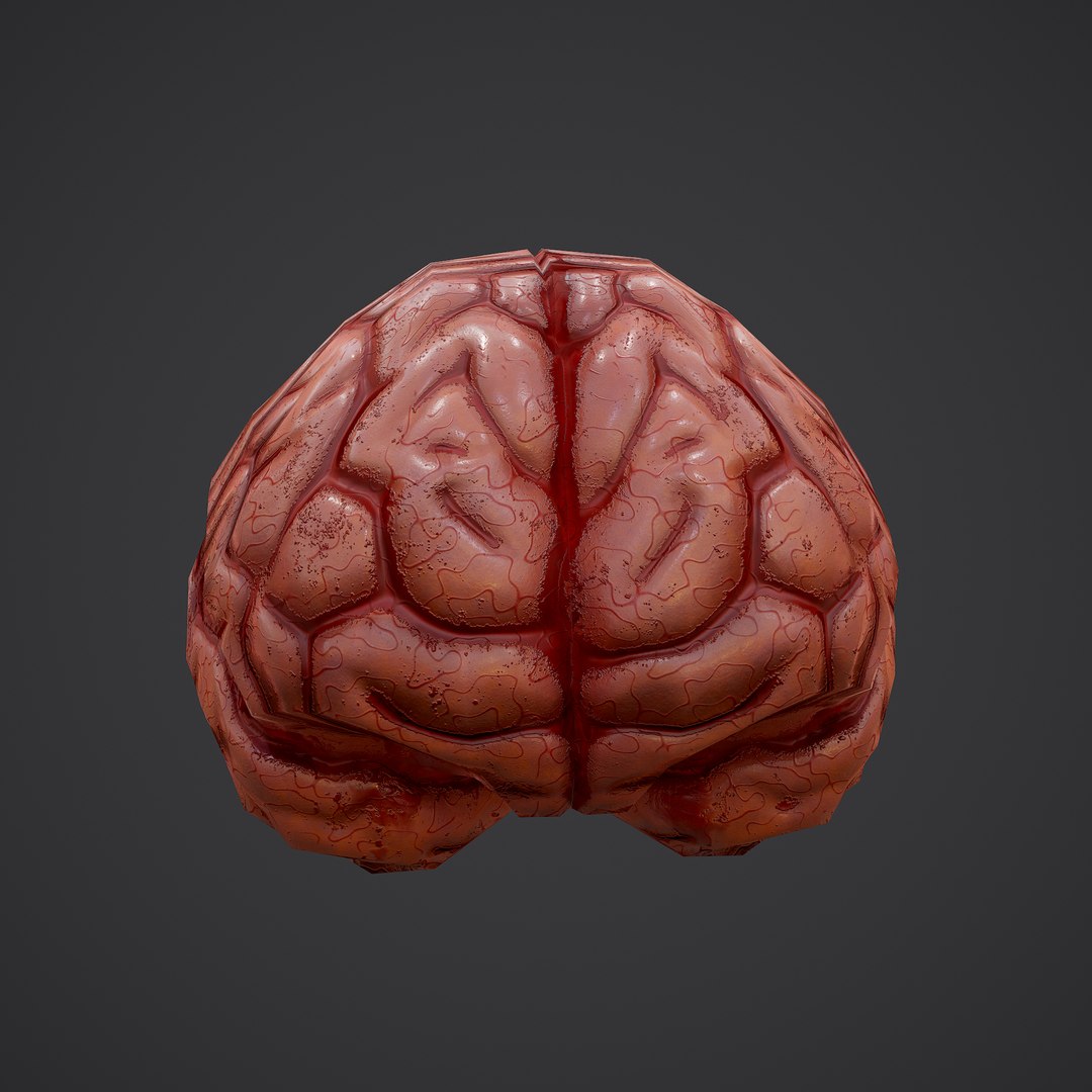 3D human brain https://p.turbosquid.com/ts-thumb/Do/cdiTMB/YeWoaOB2/18/png/1600583713/1920x1080/fit_q87/534222215d430fed57d8257b733d9847997d0ef4/18.jpg
