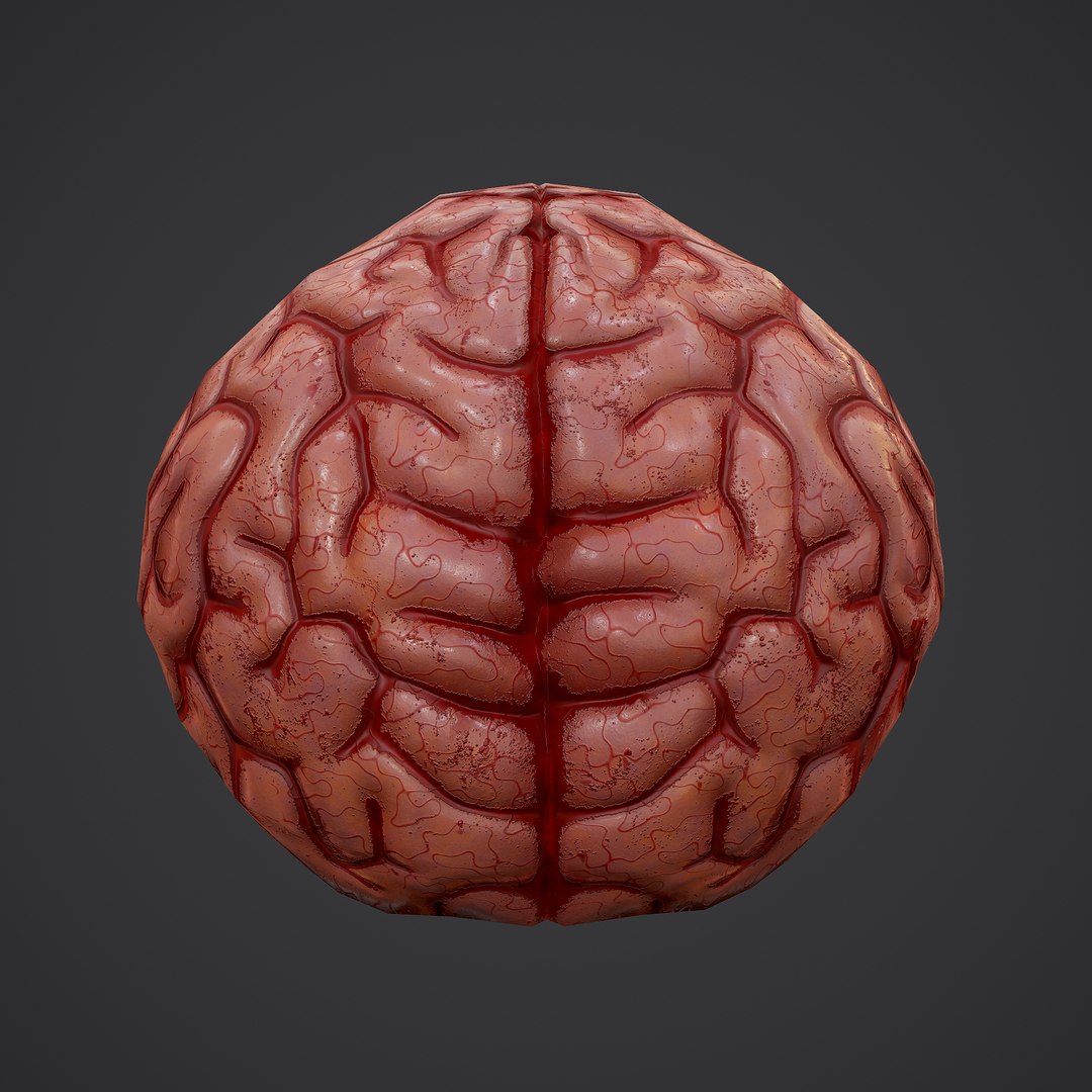 3D human brain https://p.turbosquid.com/ts-thumb/Do/cdiTMB/cAOMawpp/4/png/1600583713/1920x1080/fit_q87/7b46bcd68ee3ccad7159044d022fef5cd9f8cce1/4.jpg