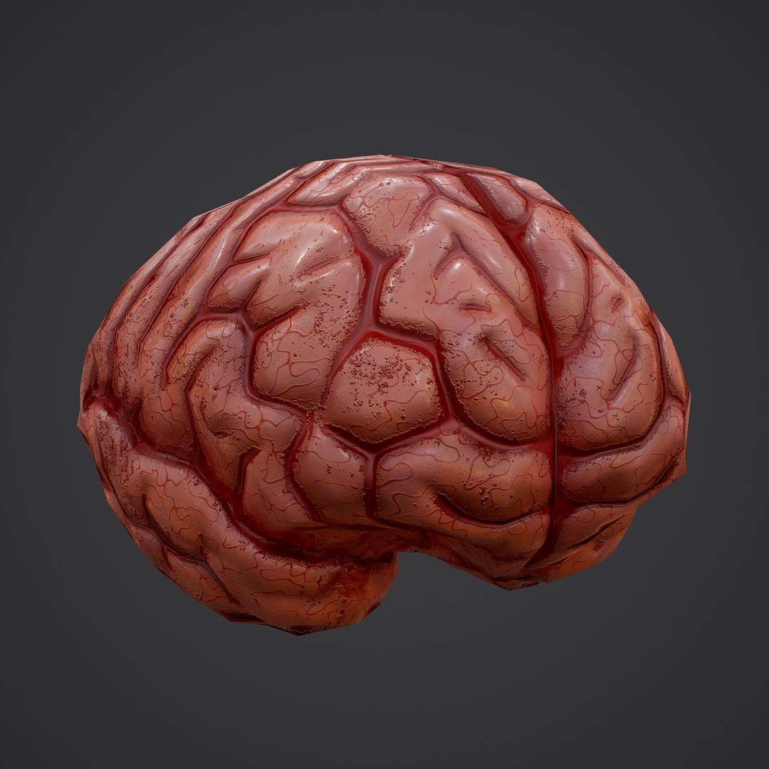 3D human brain https://p.turbosquid.com/ts-thumb/Do/cdiTMB/k0QbWF6c/17/png/1600583713/1920x1080/fit_q87/f85bb2d55359bca4e71573b8031b1a4bfa7236df/17.jpg