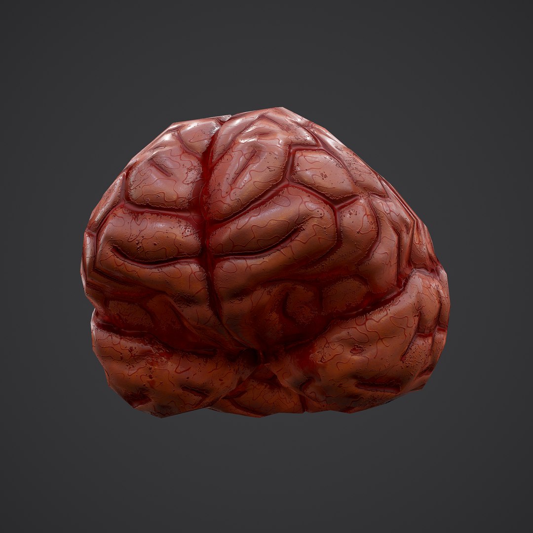 3D human brain https://p.turbosquid.com/ts-thumb/Do/cdiTMB/q2lUG5h9/19/png/1600583713/1920x1080/fit_q87/12b643290fa2c062b31c7c6baf8dd6b20cfbe614/19.jpg