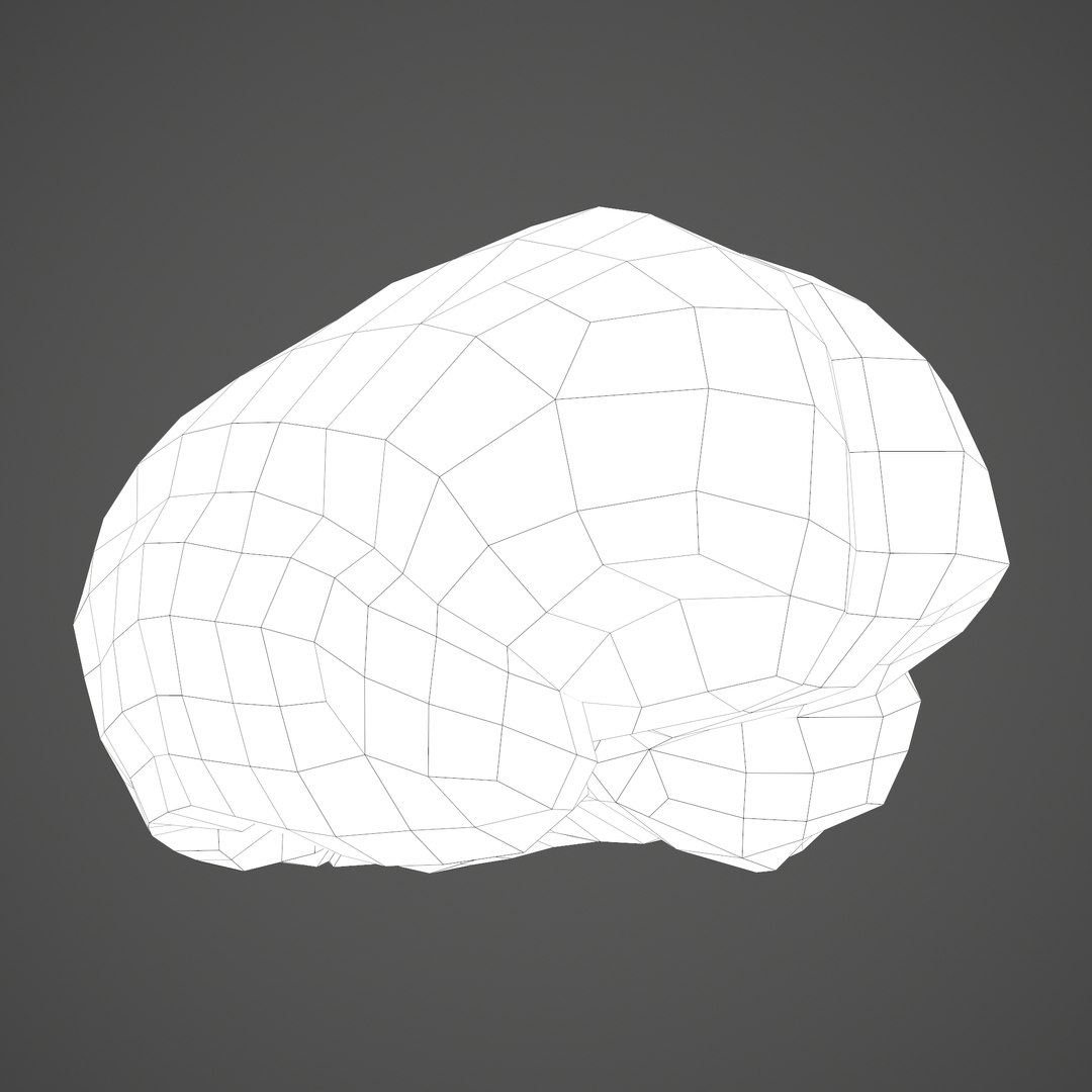 3D human brain https://p.turbosquid.com/ts-thumb/Do/cdiTMB/y3zuRQst/h/png/1600583714/1920x1080/fit_q87/5aeb0d9ac2221d0eaebe8d8eebd04667bf084fce/h.jpg