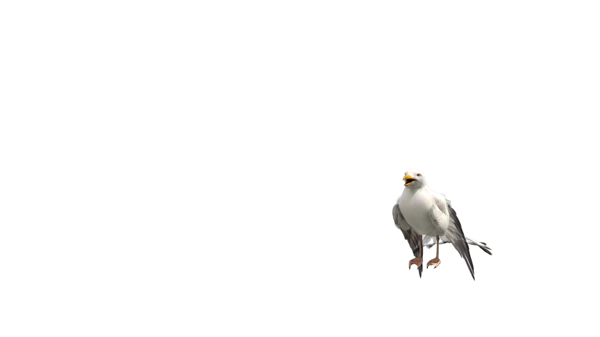 3D model seagull rigged https://p.turbosquid.com/ts-thumb/Do/ndxdY8/zsRj6bPl/flyup/jpg/1595471507/1920x1080/turn_fit_q99/22fe4fd0c5670efcb3275b0369f888b76c0d7afc/flyup-1.jpg