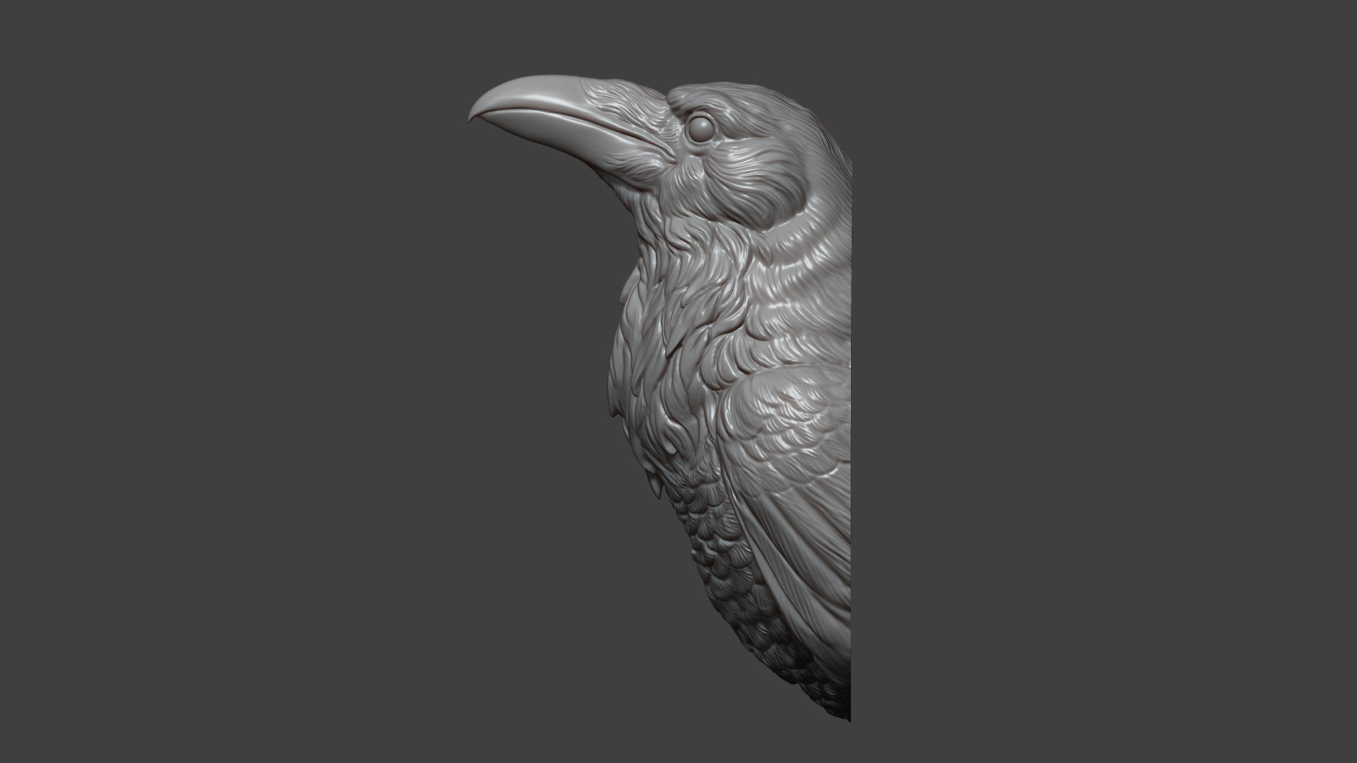 Raven head bust 3D model https://p.turbosquid.com/ts-thumb/Do/nweaQv/Bp/12/jpg/1704404370/1920x1080/fit_q87/796a22e90c61c3bbf987985741db9fc3a85502ab/12.jpg