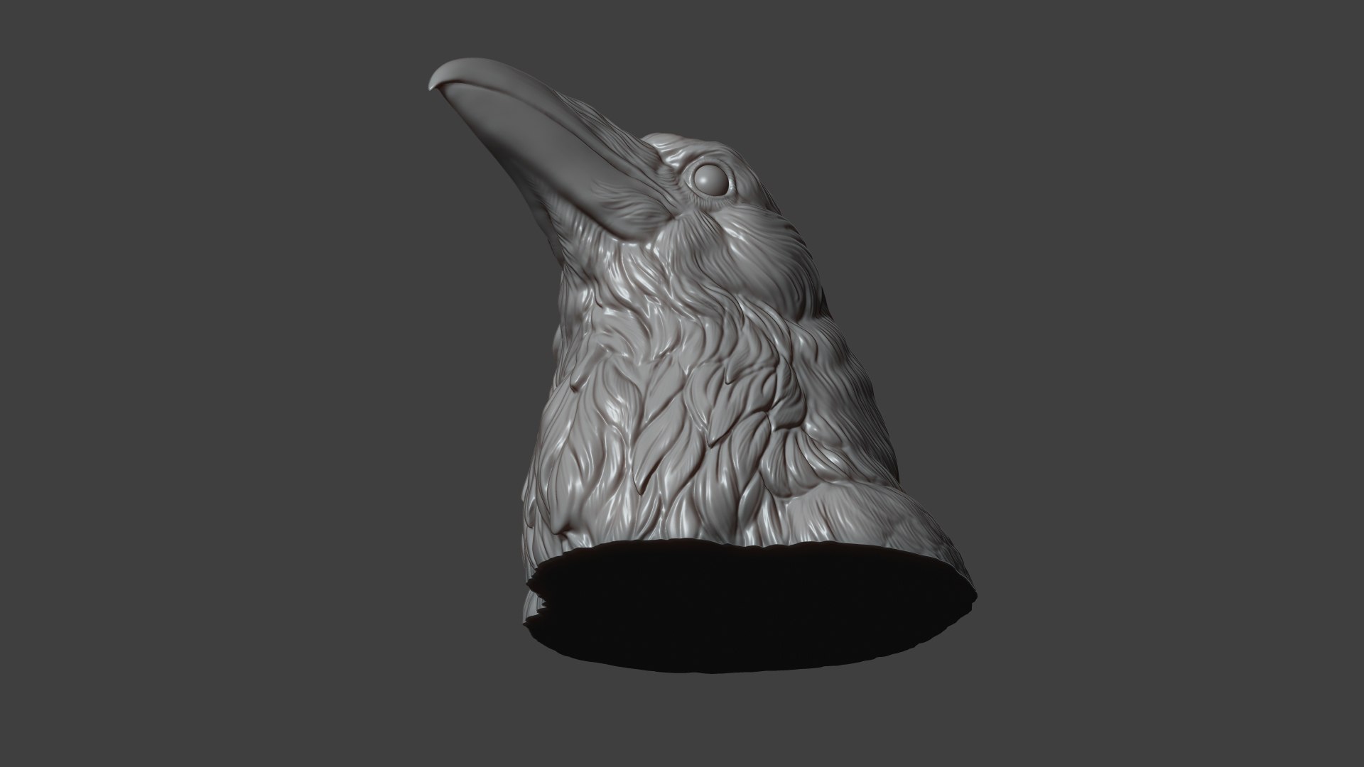 Raven head bust 3D model https://p.turbosquid.com/ts-thumb/Do/nweaQv/Vb/21/jpg/1704404374/1920x1080/fit_q87/63bae2e18332f624f7f04232134aacc0817ab79f/21.jpg