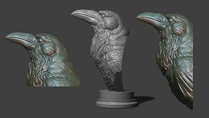 Raven head bust 3D model