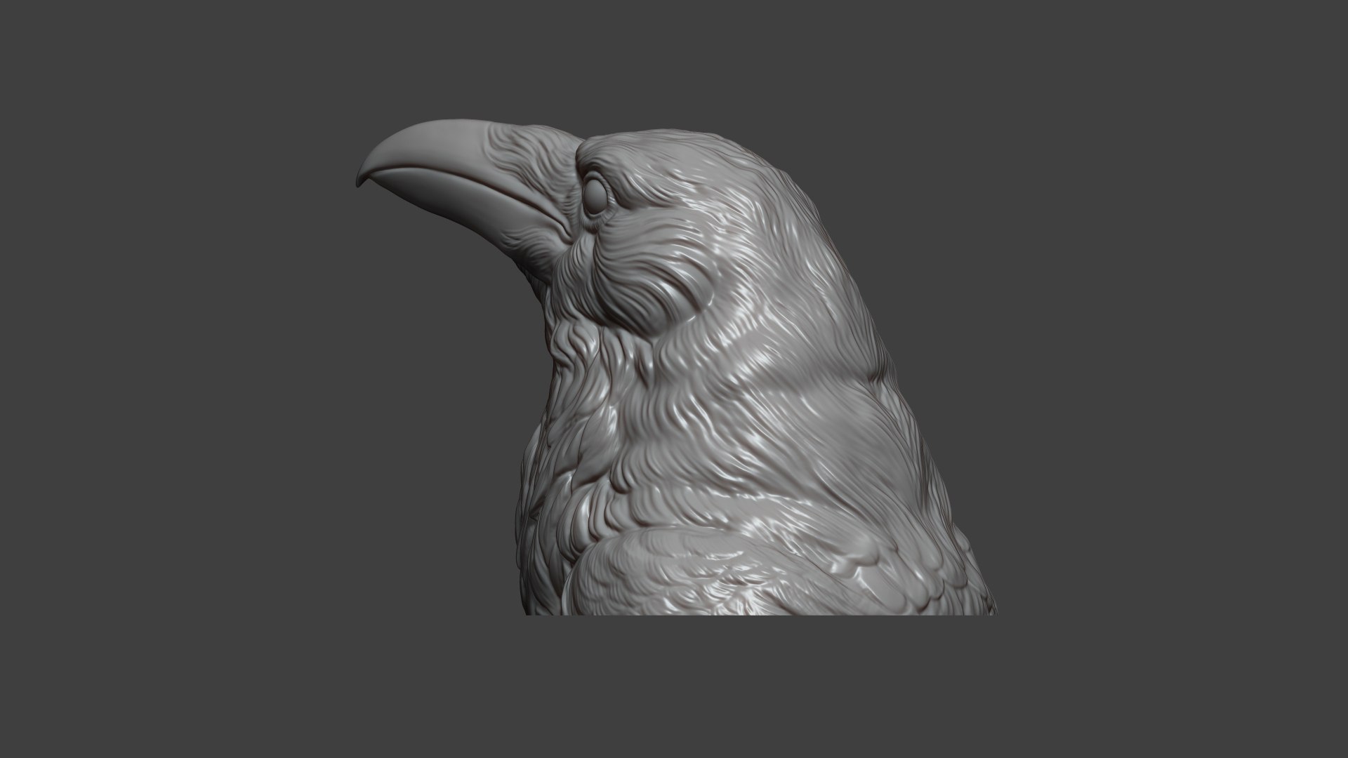 Raven head bust 3D model https://p.turbosquid.com/ts-thumb/Do/nweaQv/jG/23/jpg/1704404375/1920x1080/fit_q87/0c6d7720423a4eb1877f3d0880cb7f25e2a33501/23.jpg