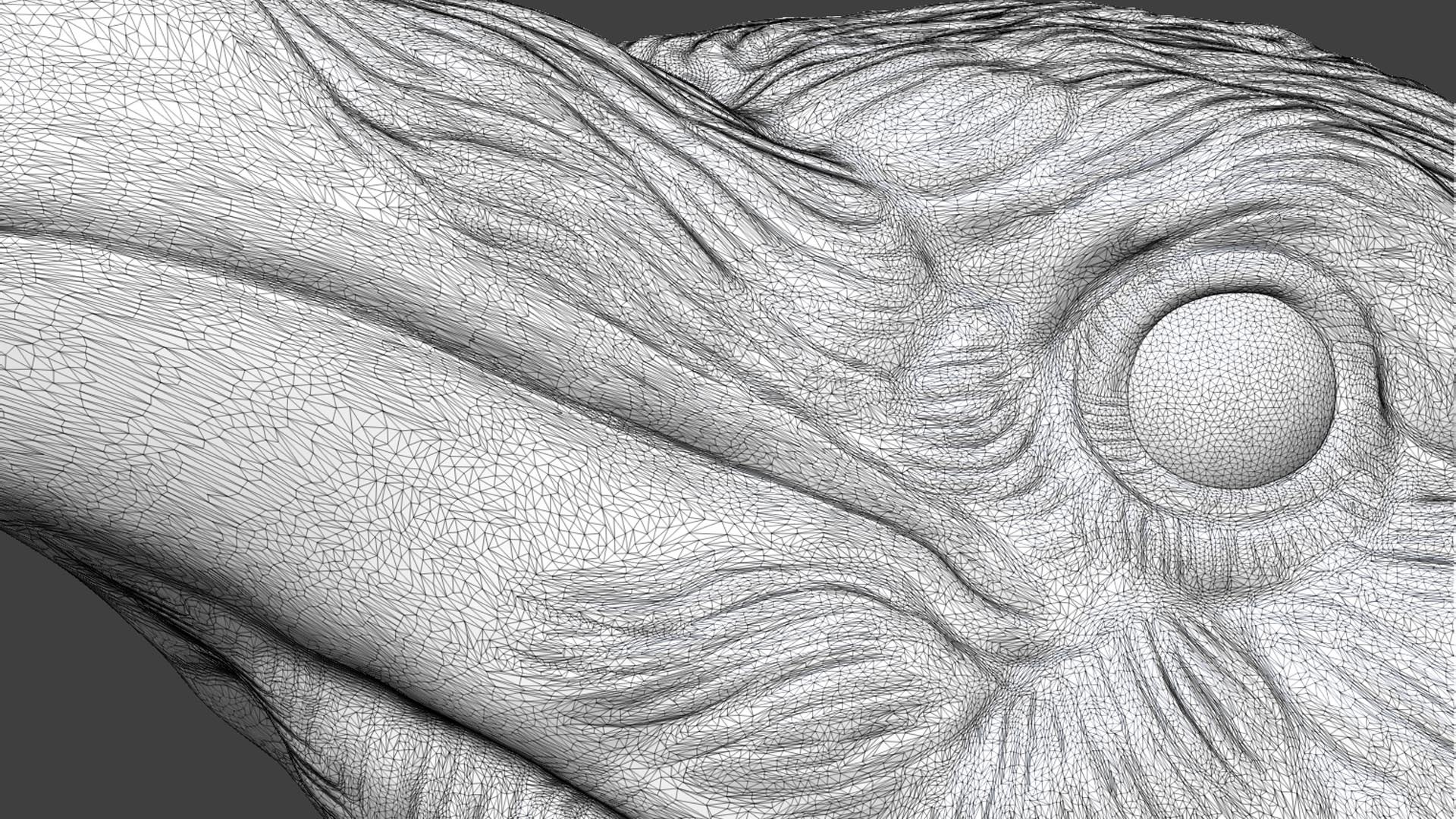 Raven head bust 3D model https://p.turbosquid.com/ts-thumb/Do/nweaQv/jq/70/jpg/1704404380/1920x1080/fit_q87/d42ebc368afdac92abe704ef4660ab7e9a7b0e13/70.jpg