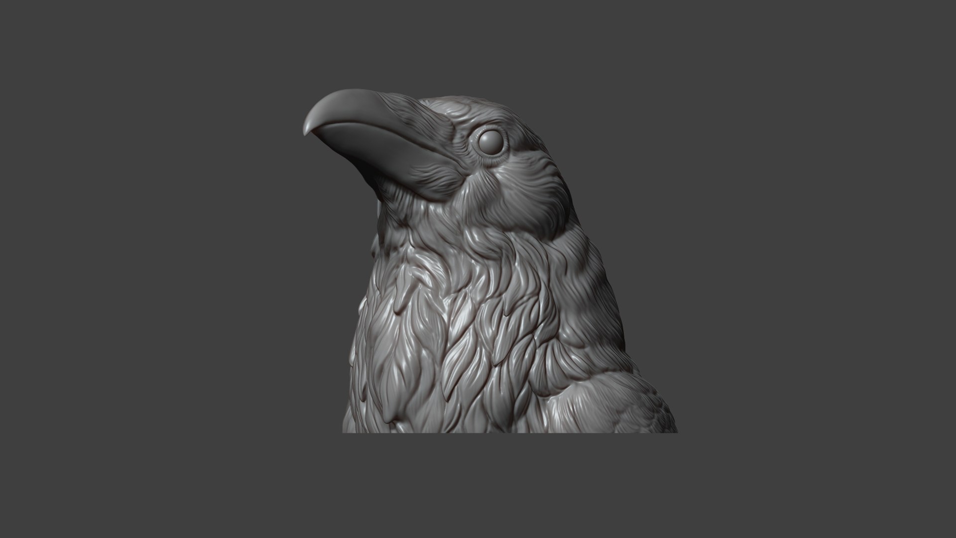 Raven head bust 3D model https://p.turbosquid.com/ts-thumb/Do/nweaQv/jw/22/jpg/1704404375/1920x1080/fit_q87/7db6ac54c8e55332650e8dffb43e679855defcf0/22.jpg
