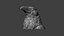 Raven head bust