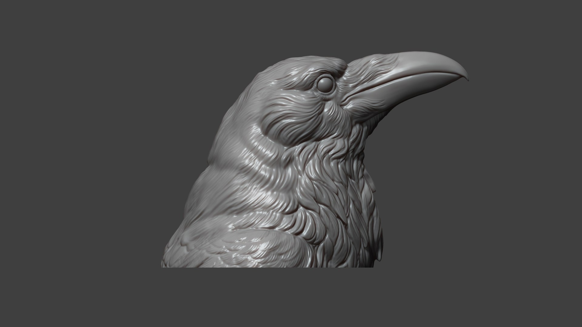 Raven head bust 3D model https://p.turbosquid.com/ts-thumb/Do/nweaQv/nm/20/jpg/1704404374/1920x1080/fit_q87/50aee898db017d99e1234de60da397d32d5df2cb/20.jpg