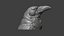 Raven head bust